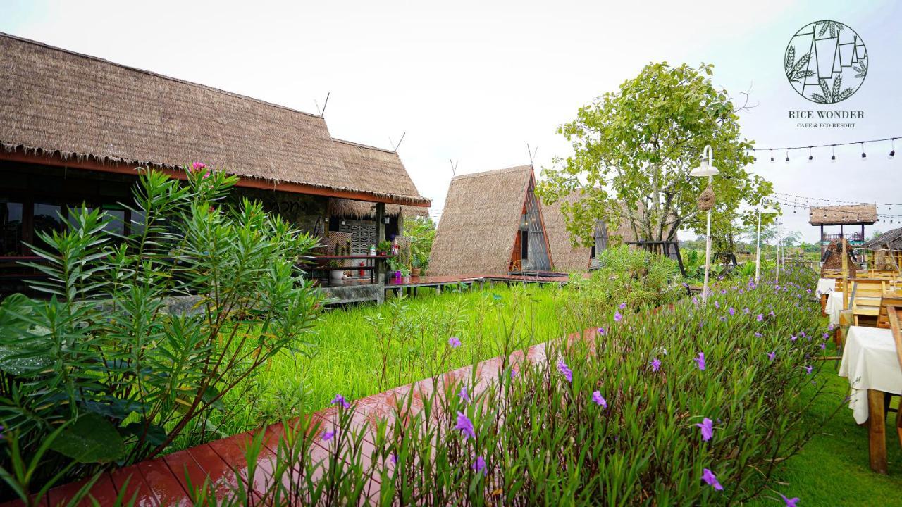 Rice Wonder Cafe & Eco